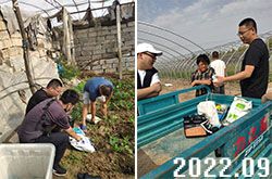 Ħ���ۺ󌣆T����ָ��(d��o)�Nֲ��ʩ��